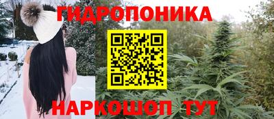 a pvp Будённовск