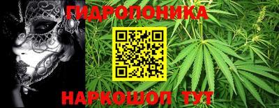 a pvp Будённовск