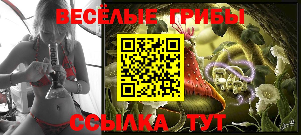 Галлюциногенные грибы Cubensis  Вход с VPN  Светлоград  Псилоцибиновые грибы GOLDEN TEACHER 
