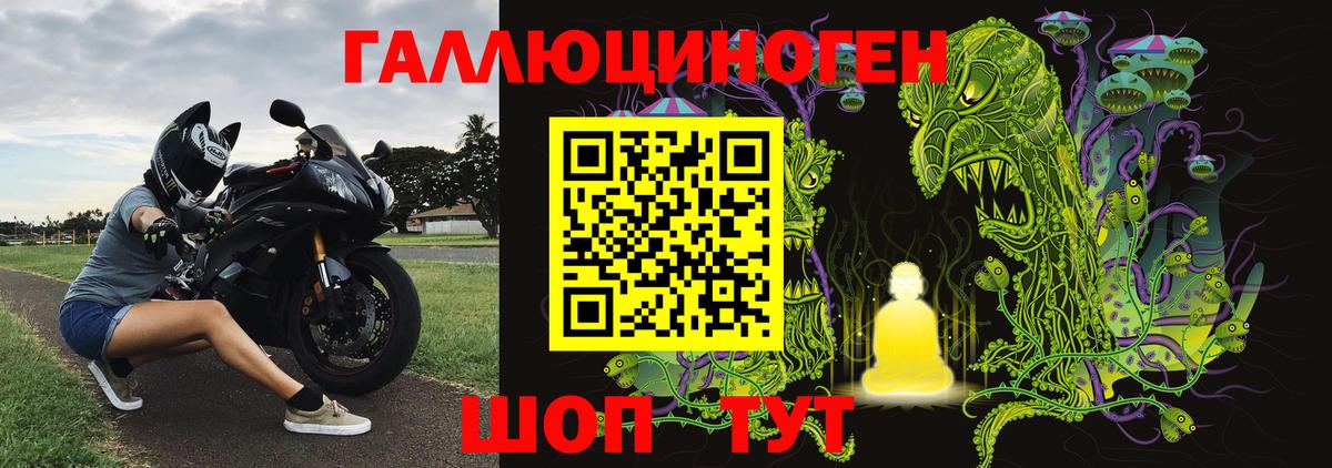 Галлюциногенные грибы Psilocybe Светлоград